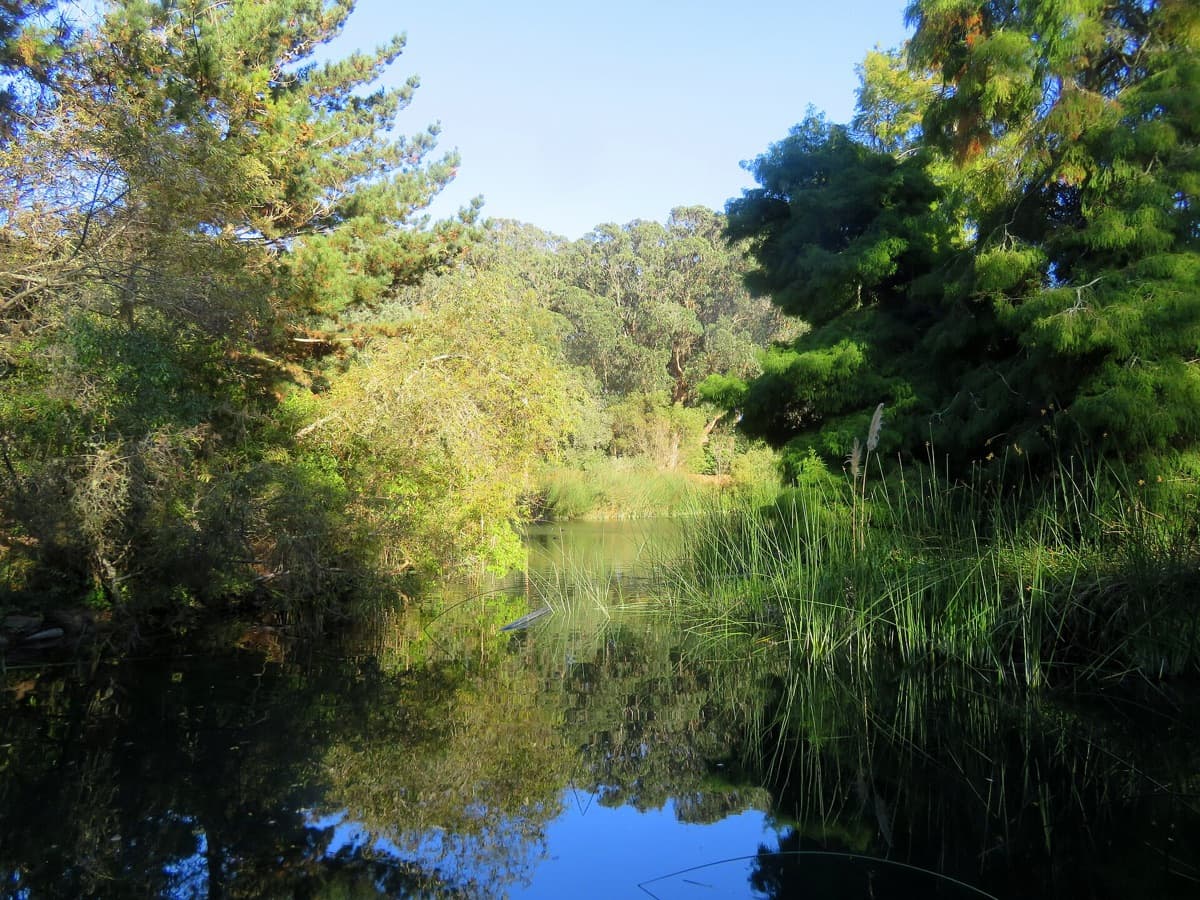 Chain of Lakes