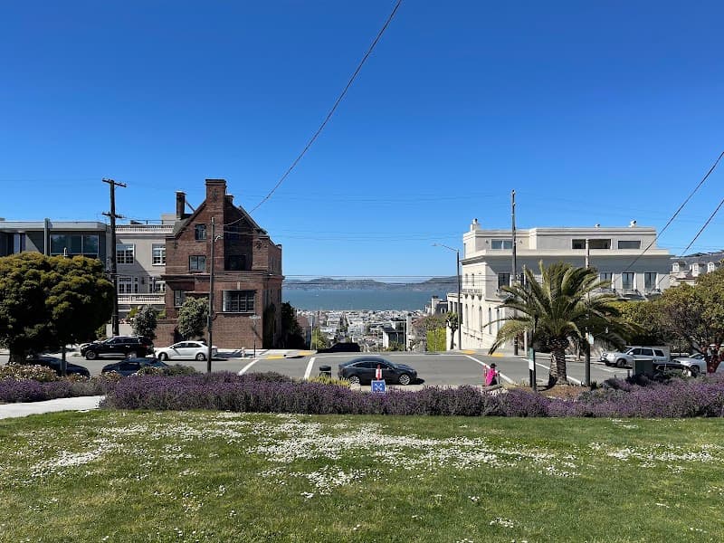 Alta Plaza Park — view 3