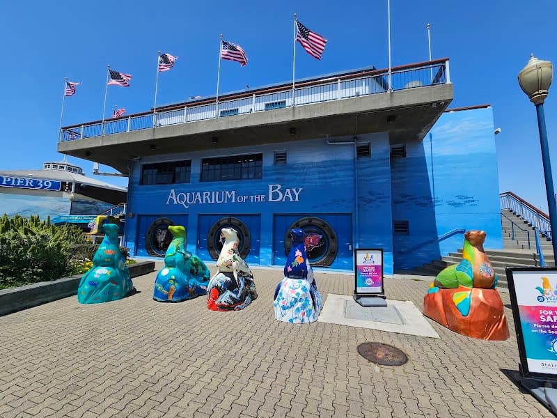 Aquarium of the Bay Birthday Parties - Photo 3