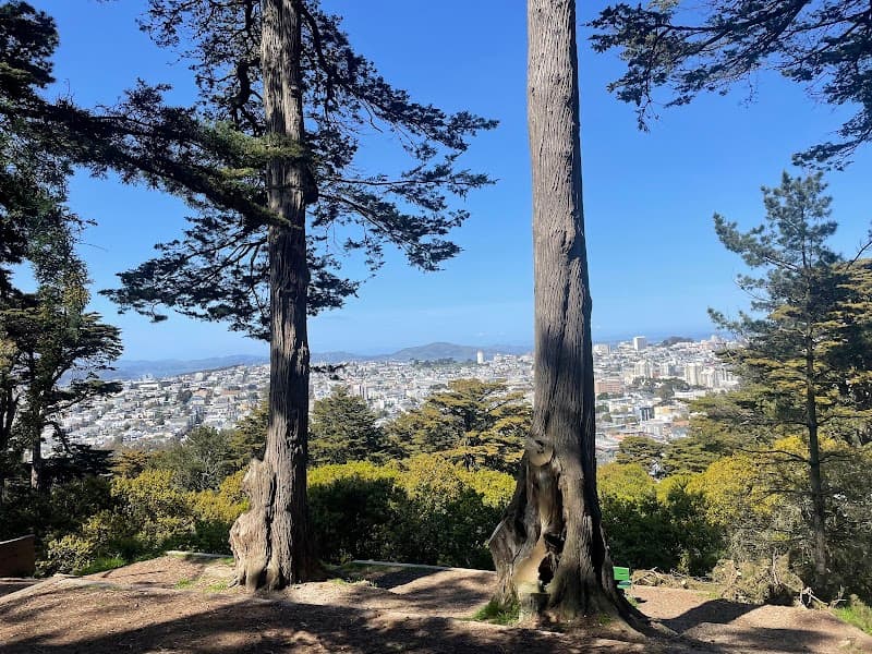 Buena Vista Park - Photo 1
