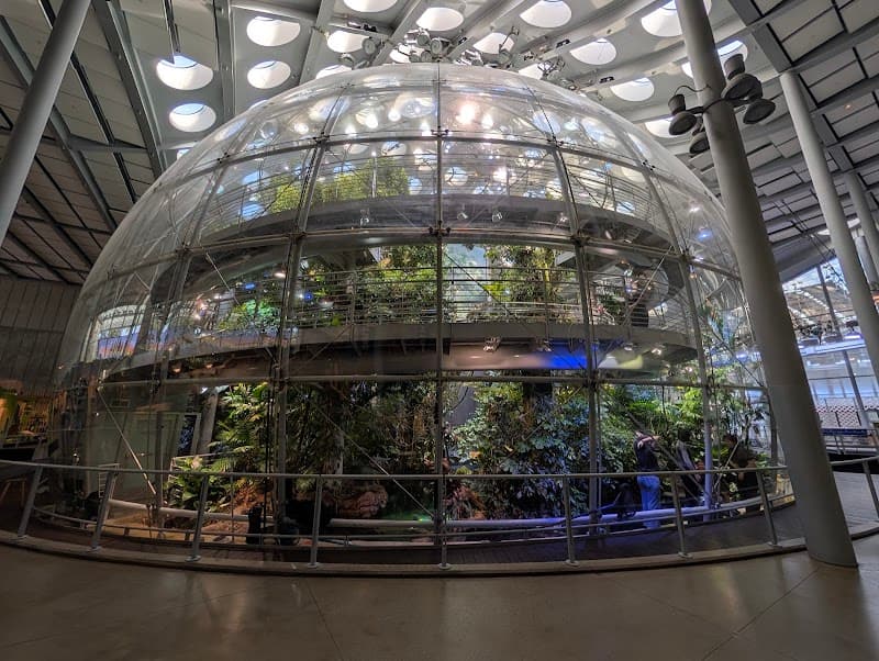 Cal Academy Summer Camps - Photo 1