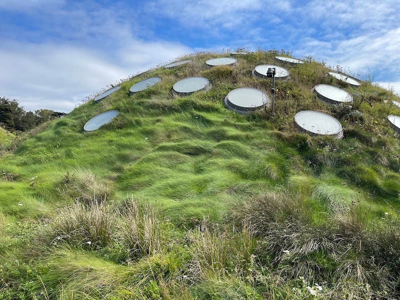 California Academy of Sciences - Photo 3
