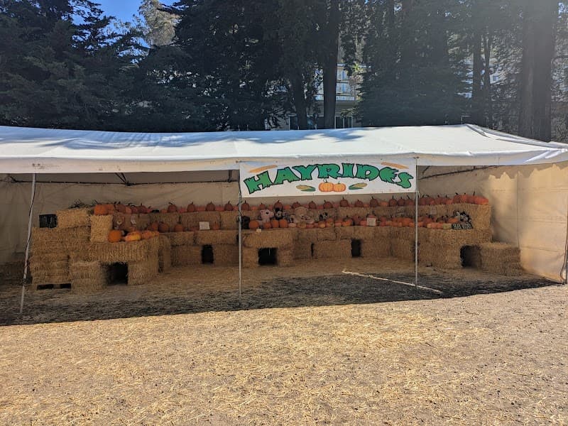Clancy's Pumpkin Patch