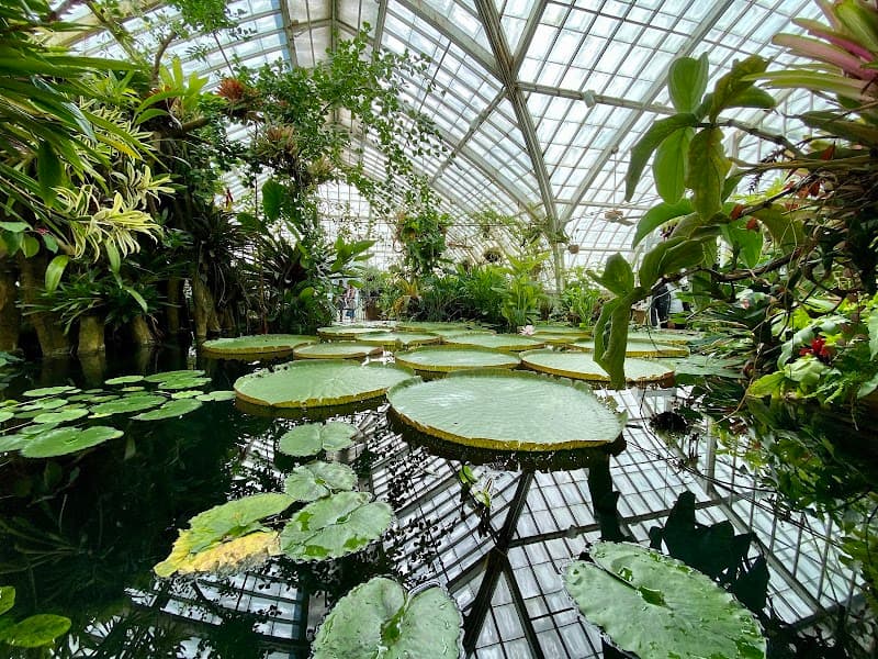 Conservatory of Flowers β view 2