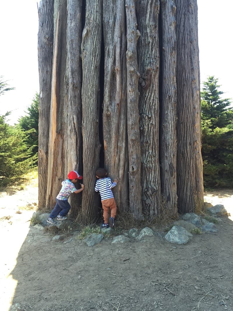 Coyote Camp (Presidio) - Photo 1