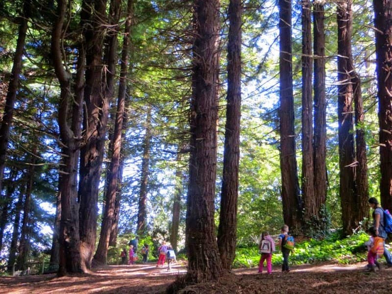 Coyote Camp (Presidio) - Photo 2