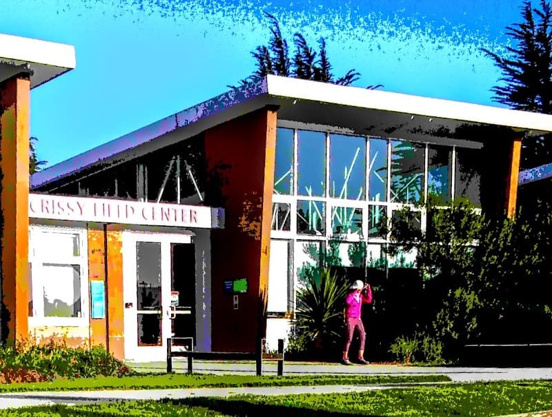 Crissy Field Center Camps - Photo 3