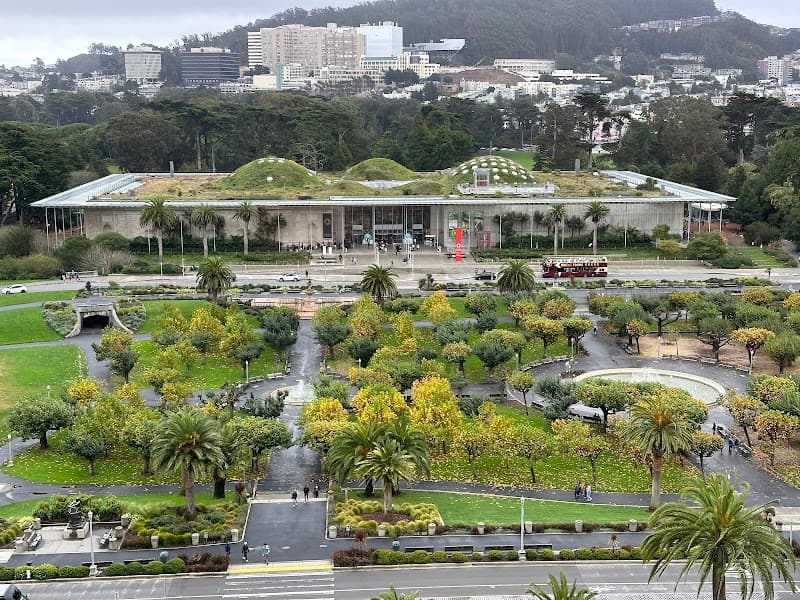 de Young Museum — view 3