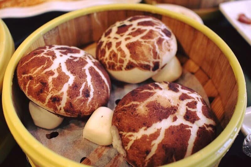 Dragon Beaux - Photo 2