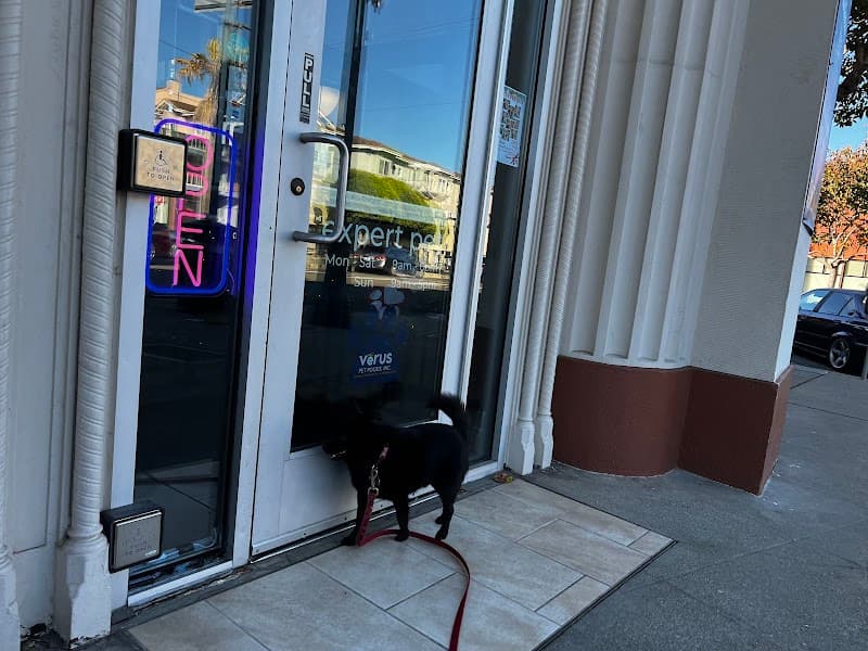 Expert Pet — Pet Supplies & Services