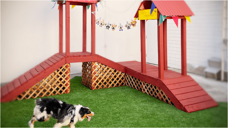 Expert Pet — Pet Supplies & Services — view 2