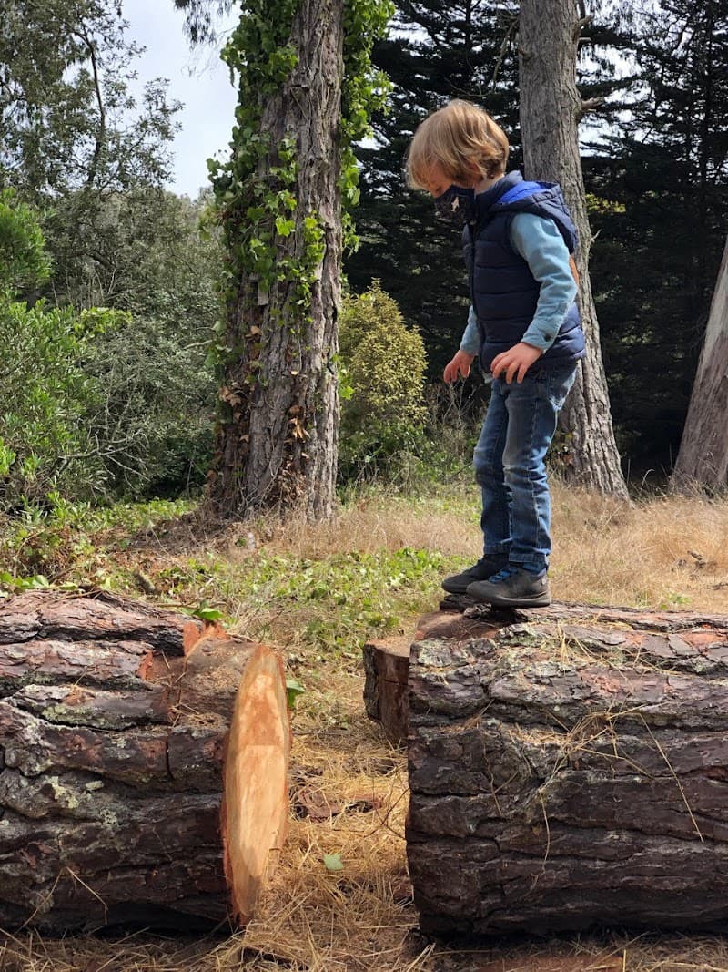 Forest Bloom Outdoor School — view 1