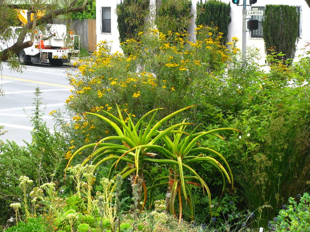 Garden for the Environment