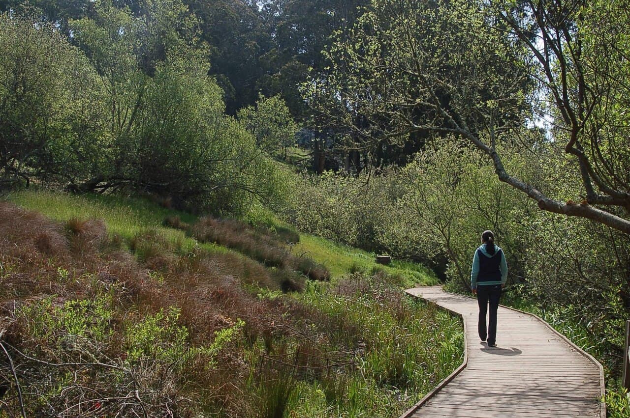 Glen Canyon Park Trails