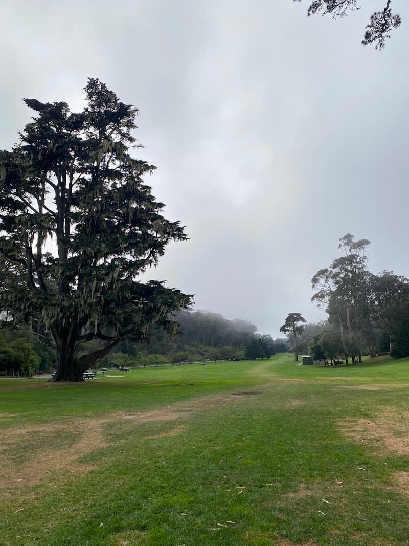 Golden Gate Park Picnic Party - Photo 2