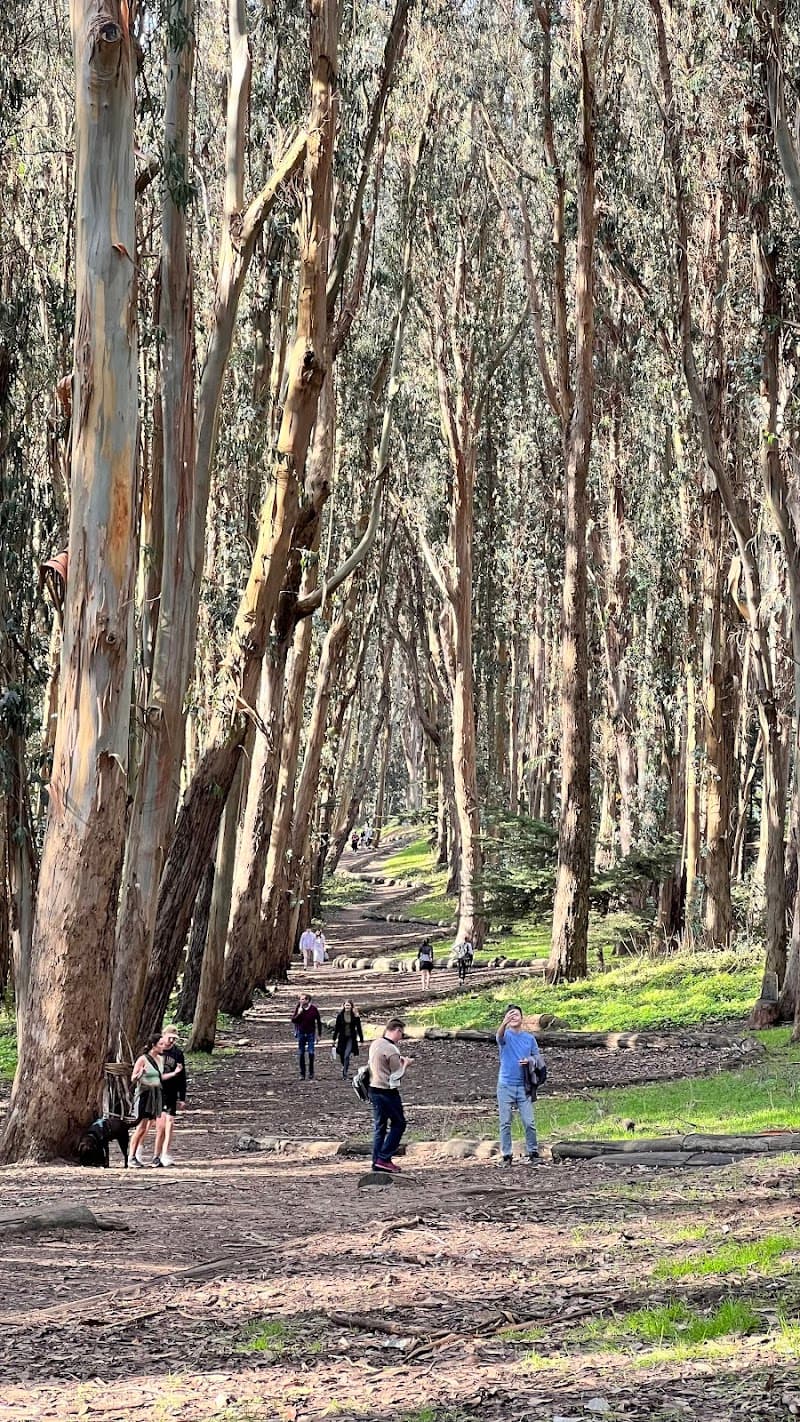 Julius Kahn Playground - Photo 3