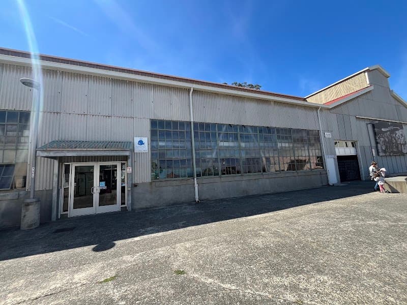 La Petite Baleen Swim School - Photo 3