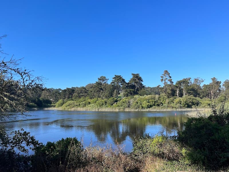 Stroller-Friendly Walks and Hikes in San Francisco