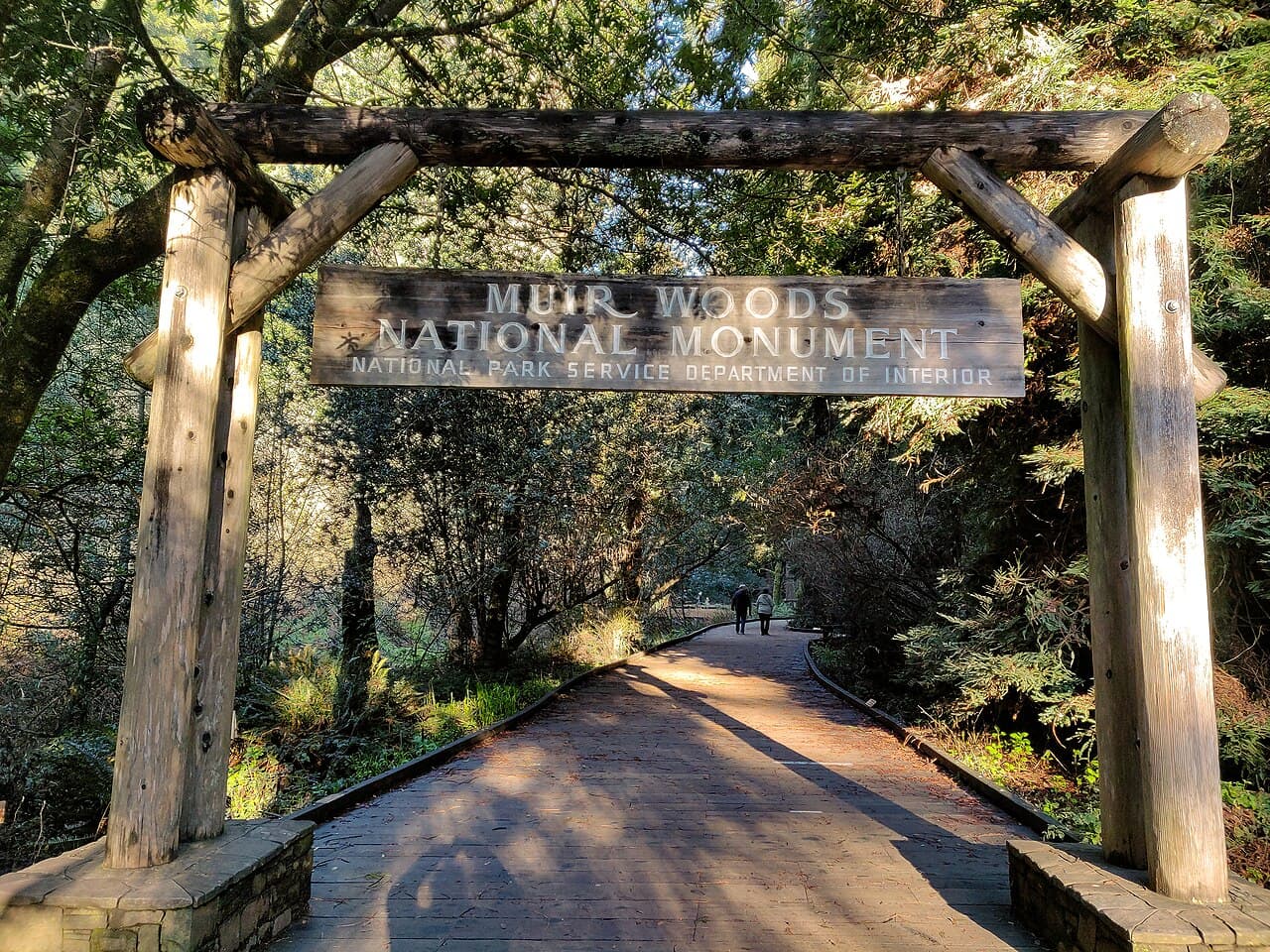 Muir Woods Main Trail