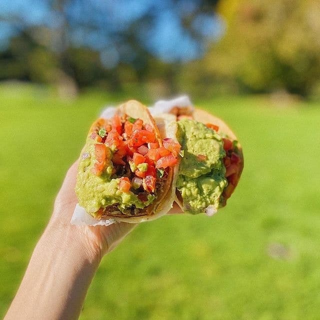 Nopalito - Photo 2