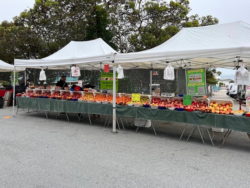 Outer Sunset Farmers Market - Photo 1