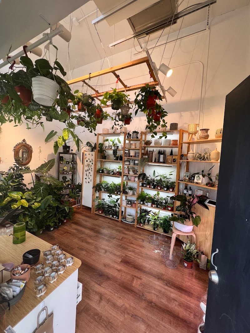The Plant Lady SF — view 2