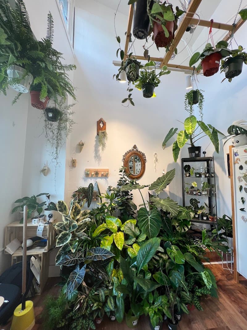 The Plant Lady SF - Photo 3