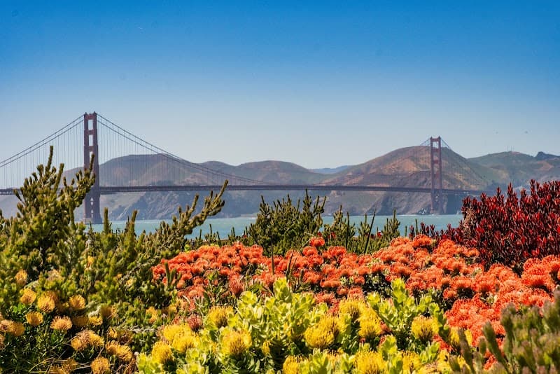 Presidio Tunnel Tops