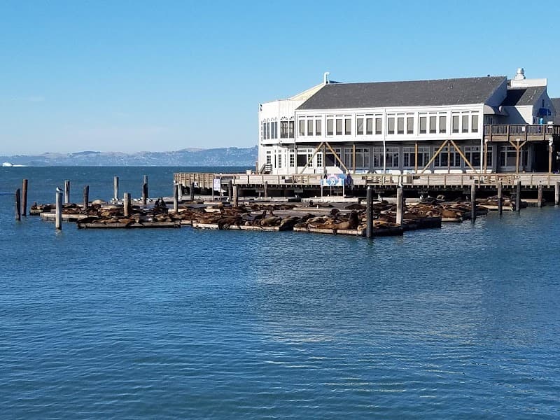 Golden Gate Ferry to Sausalito — view 1