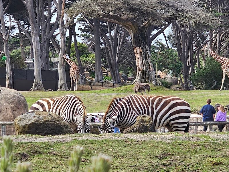 San Francisco Zoo Birthday Parties - Photo 2