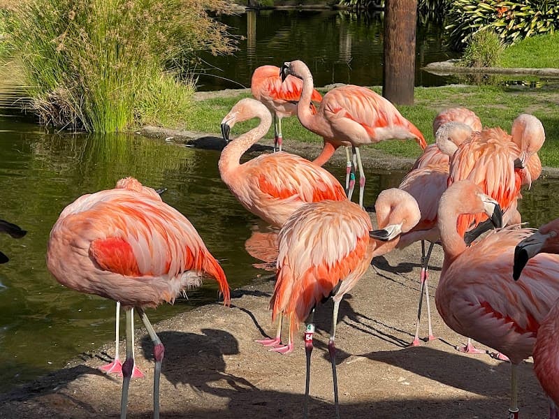 San Francisco Zoo Birthday Parties - Photo 3