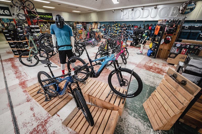 Sports Basement Presidio — view 2