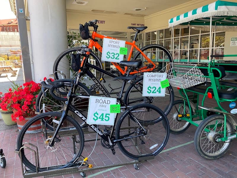 Sports Basement Presidio - Photo 3