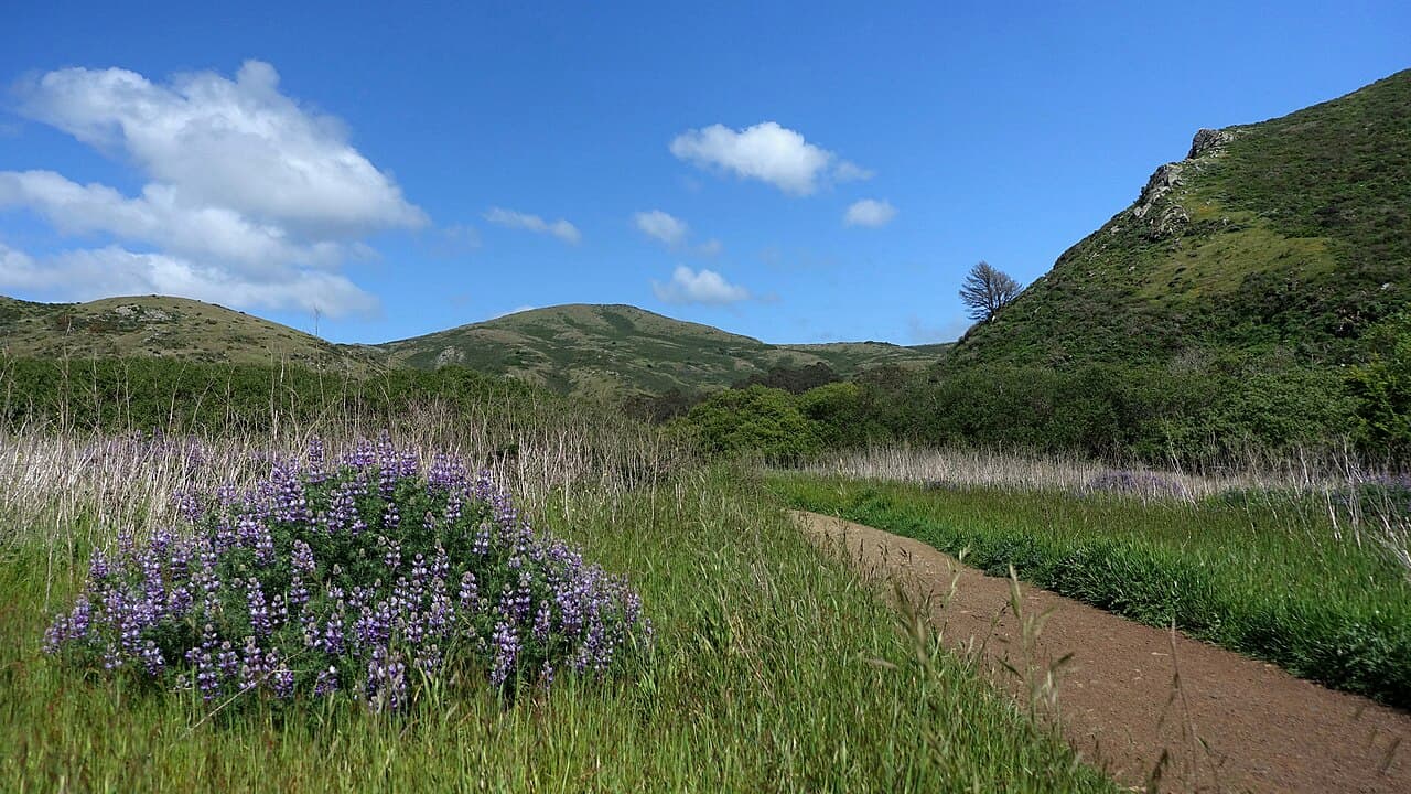 Tennessee Valley Trail