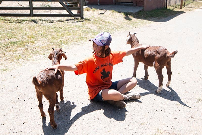 Tinkering School - Photo 2