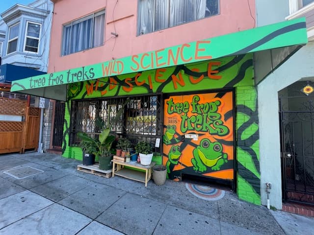 Tree Frog Treks - Photo 1