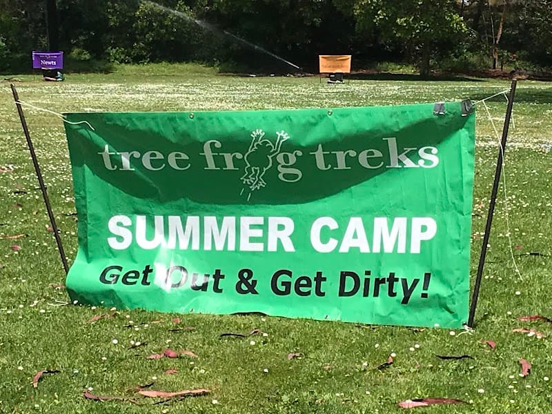 Tree Frog Treks — view 2