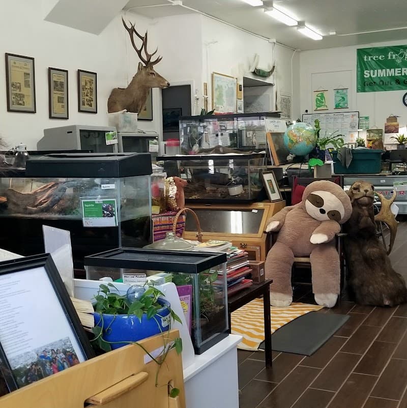 Tree Frog Treks - Photo 3