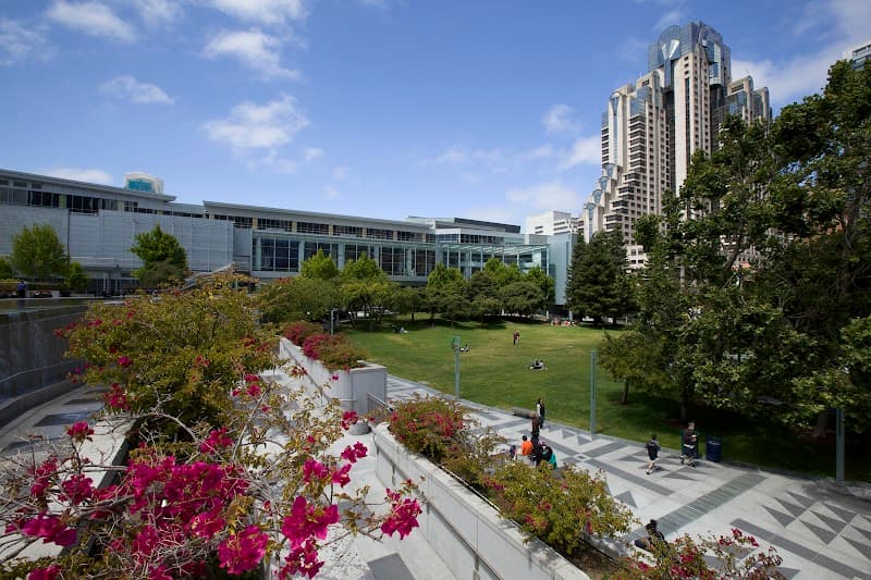 Rainy Day Activities for Kids in SF